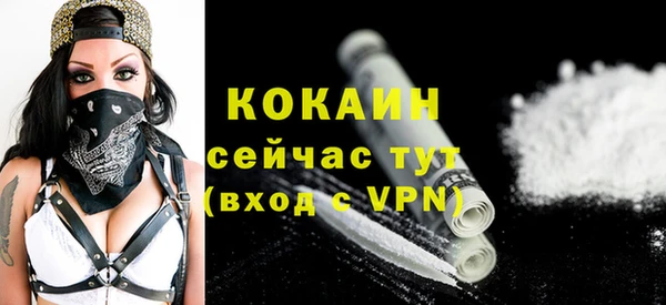 тгк Новодвинск