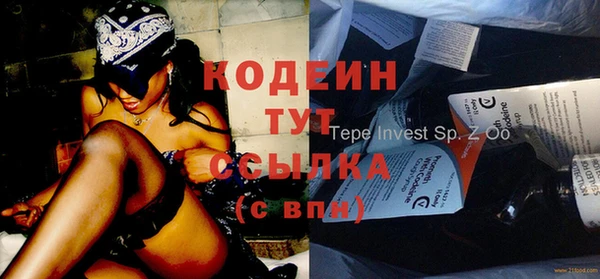 молекула духа Билибино