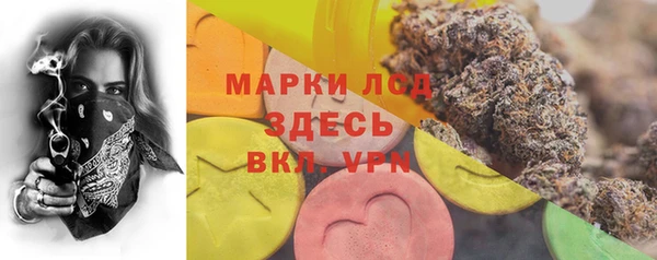тгк Новодвинск