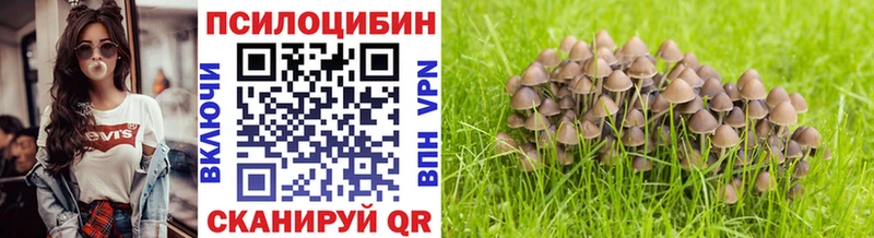 Галлюциногенные грибы Psilocybe Биробиджан