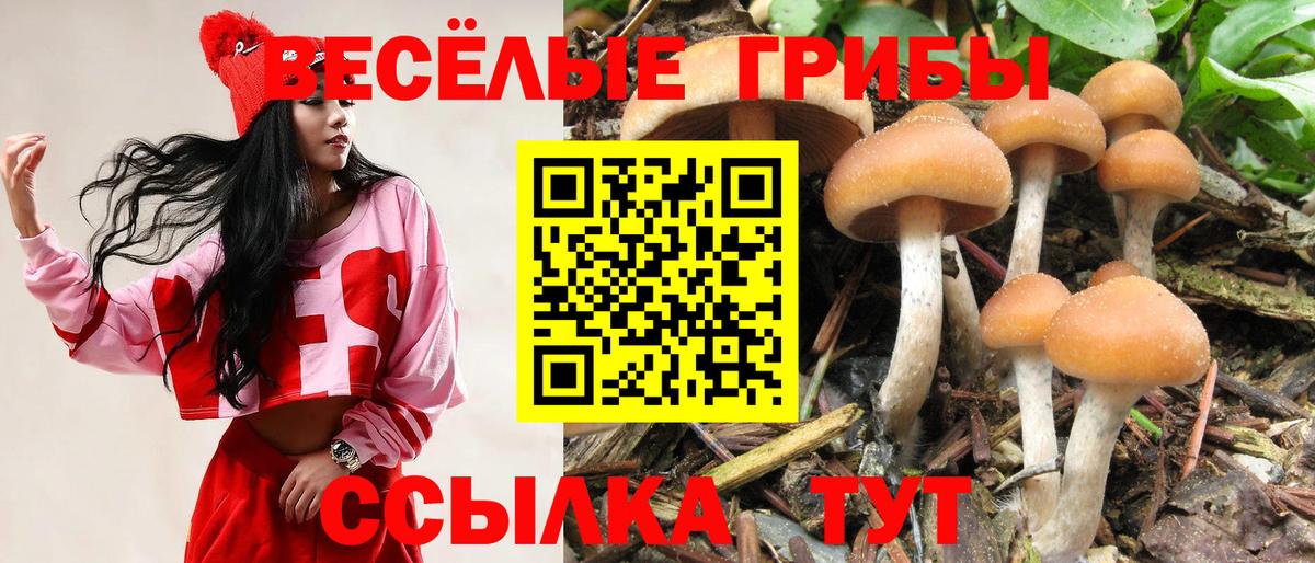 Галлюциногенные грибы Cubensis  Галлюциногенные грибы MAGIC MUSHROOMS  Биробиджан 