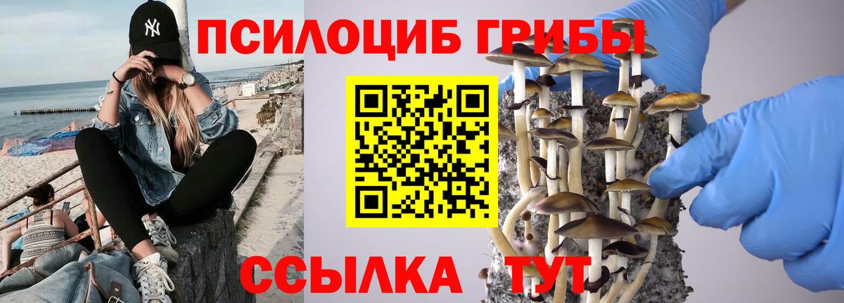 Галлюциногенные грибы прущие грибы Биробиджан